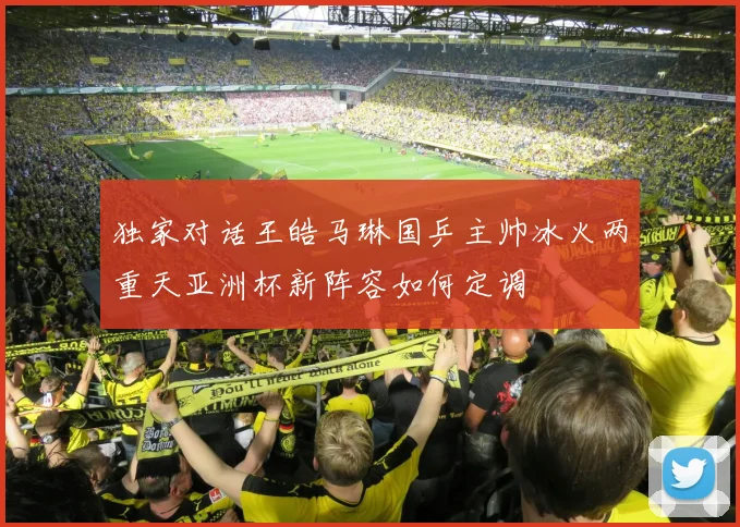 独家对话王皓马琳国乒主帅冰火两重天亚洲杯新阵容如何定调